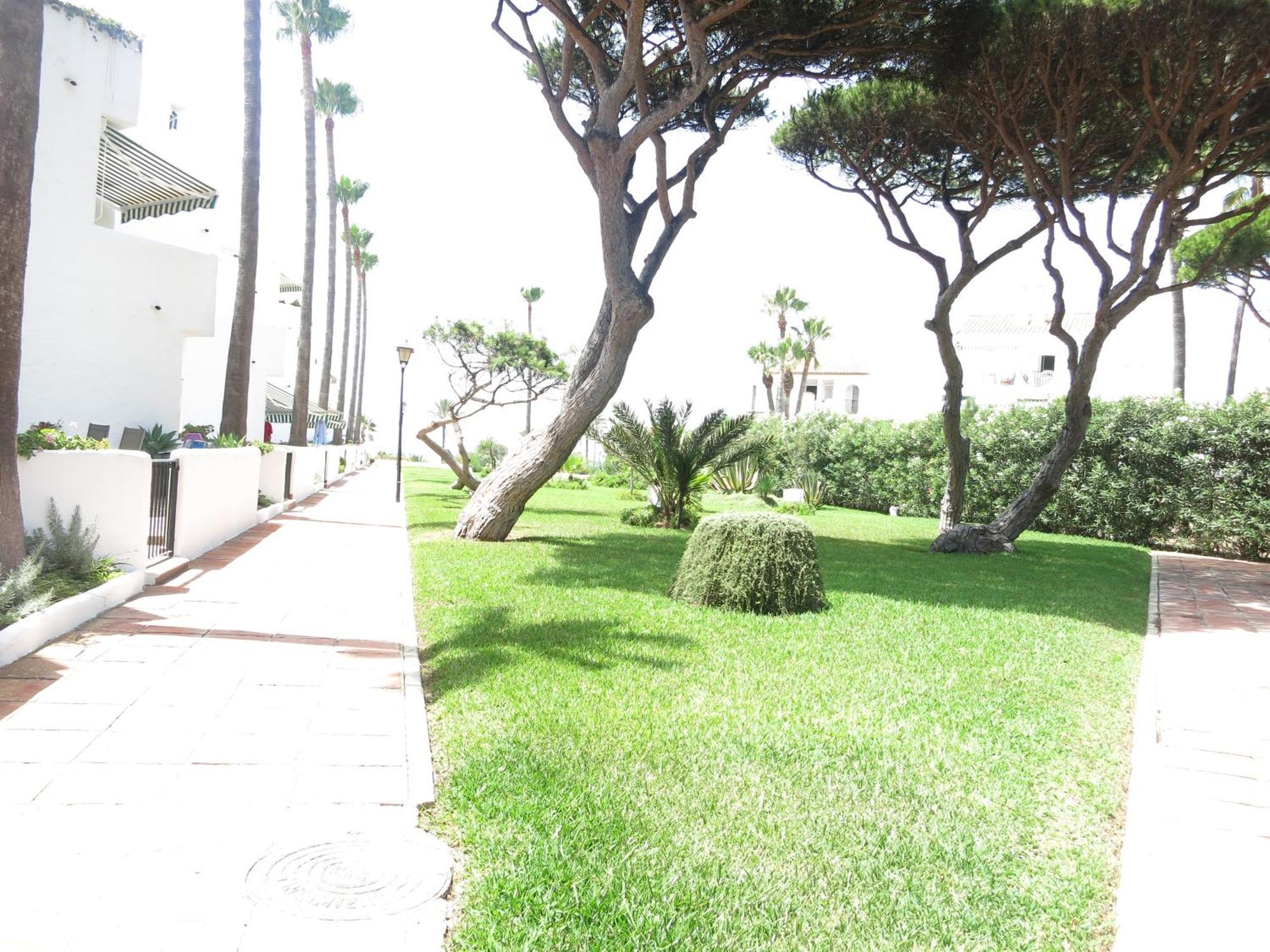 Apartamento El Bogavante Chiclana de la Frontera Eksteriør billede